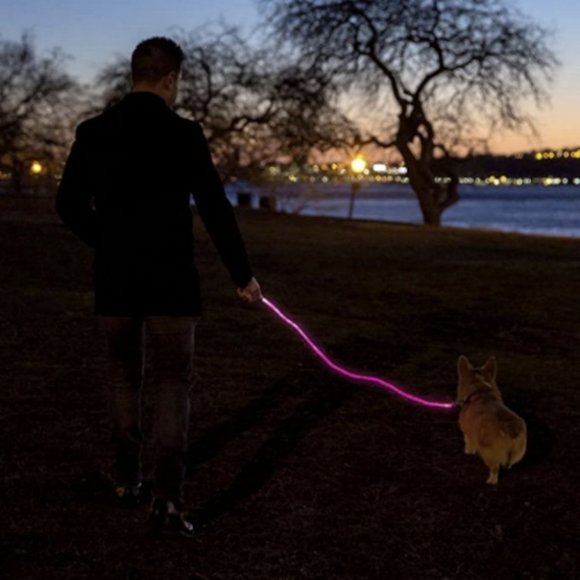 LED Dog Leash - Picture 2 of 7